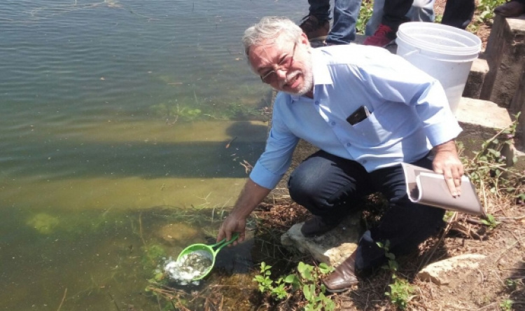 Adalberto Pereira, coordenador de Agricultura e Pesca da SDR