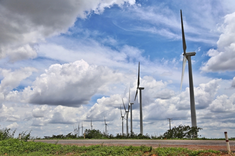 Piauí é destaque na produção de energia eólica (Foto:Marcelo Cardoso) 