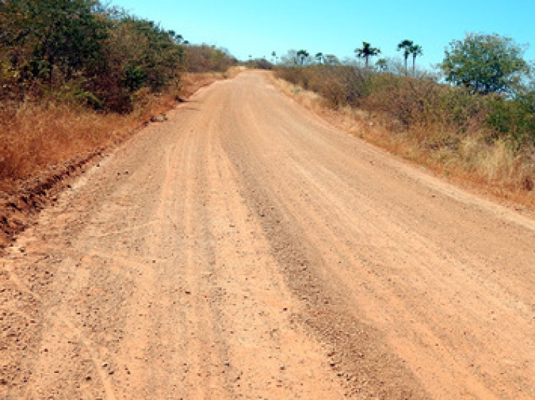 Ação do poder público municipal