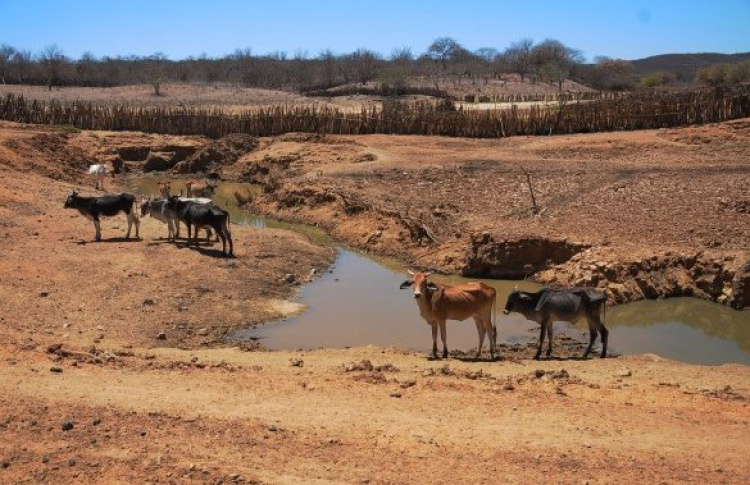 Governo do Piauí declara situação de emergência em mais 25 municípios