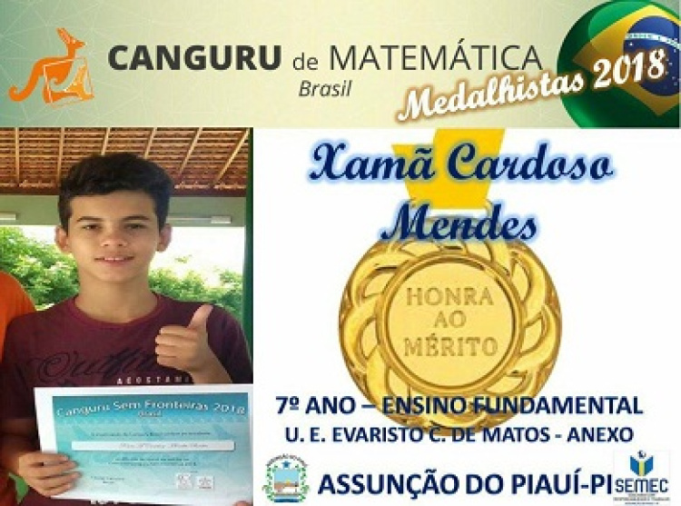 Educação em foco