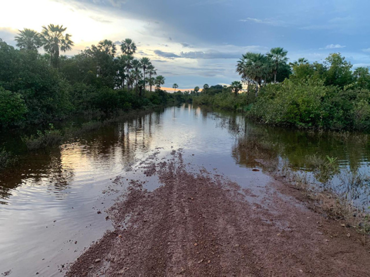 Foto: Elton Lima/ Ascom/ Prefeitura de Campo Largo