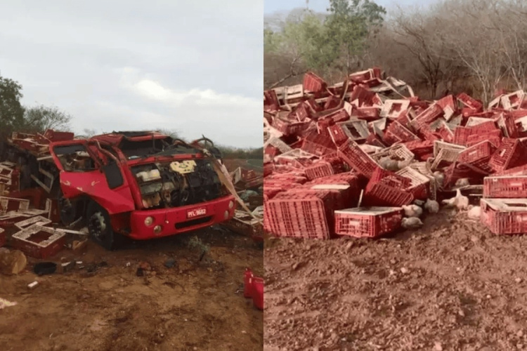 Caminhão tombou em rodovia piauiense | Reprodução