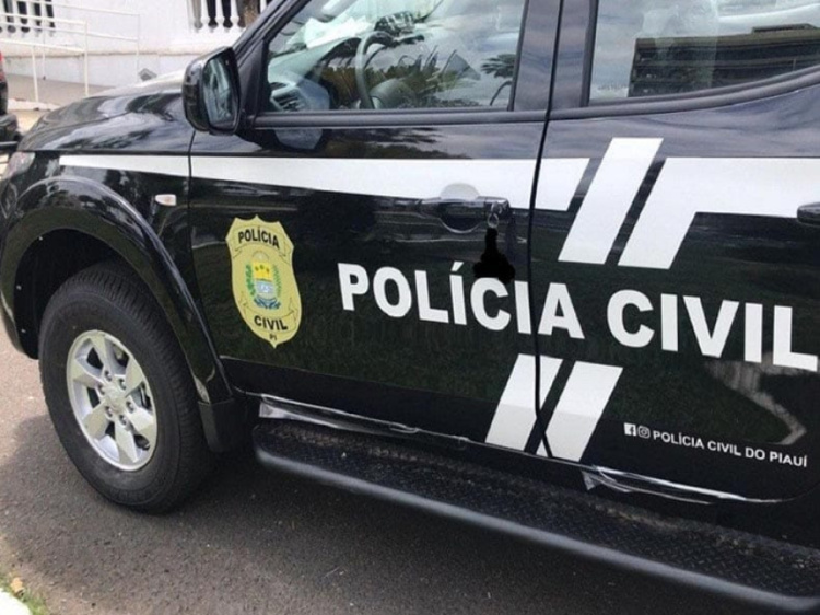 Foto: Polícia Civil 