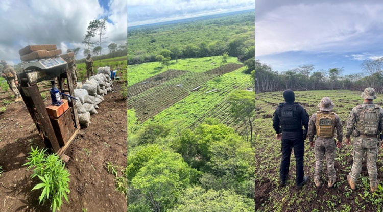 Foto: Polícia Militar e Polícia Civil 